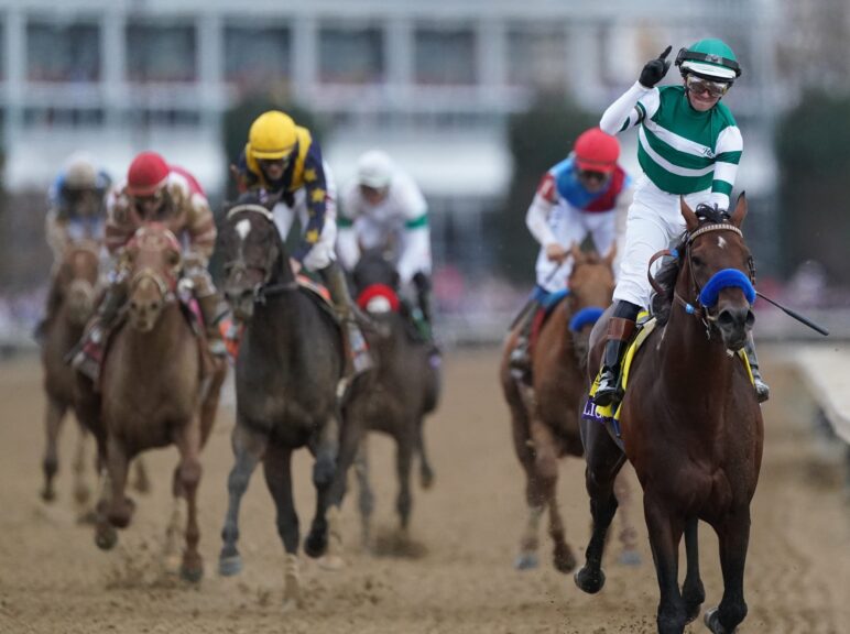 What does show mean in horse racing?