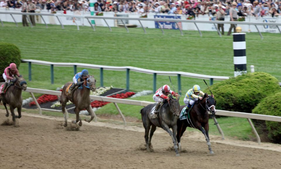 What are fractions in horse racing?