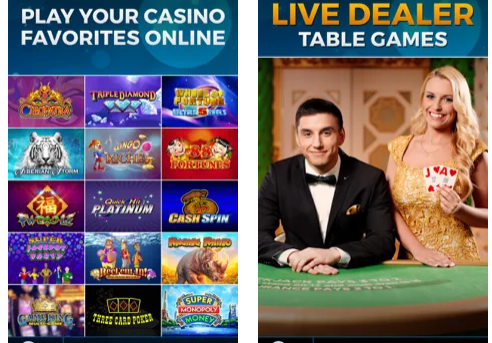 Betrivers casino app