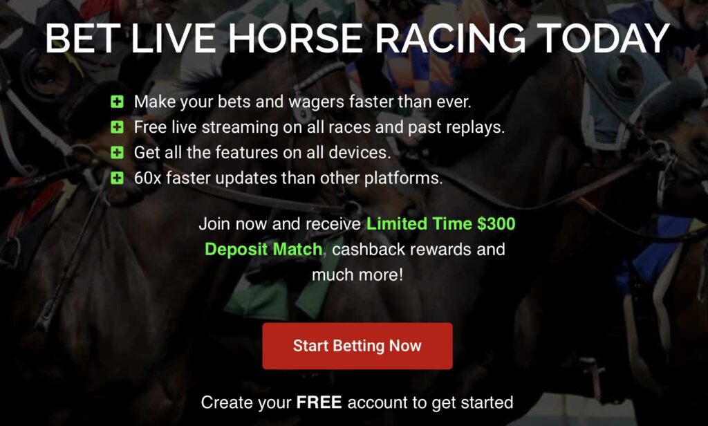 Go horse betting promo codes nearest little caesar`s to me