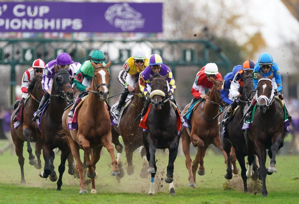 What is lay betting in horse racing?