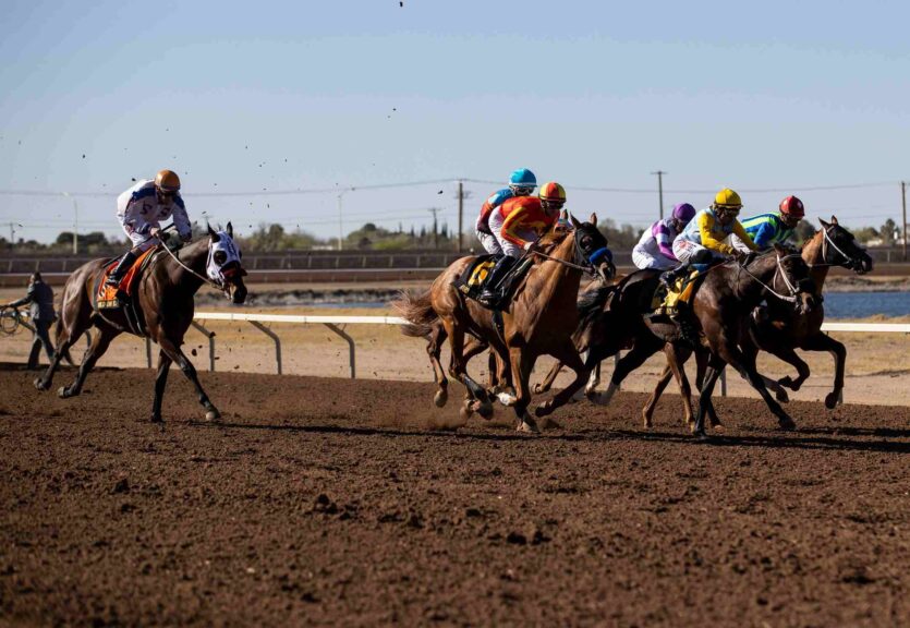 Types of Bets for Horse Racing