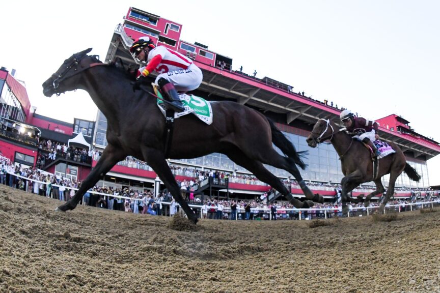 How to Bet on the Preakness