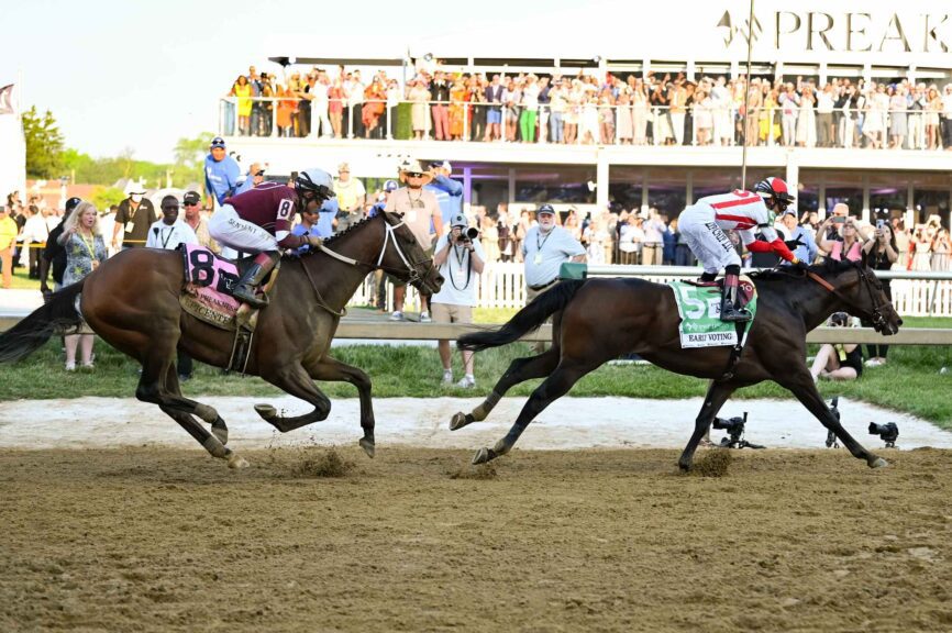 Preakness Stakes 2023 Betting: Picks, Horses & Odds