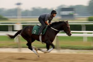 Belmont Stakes: Odds, Horses & Dates